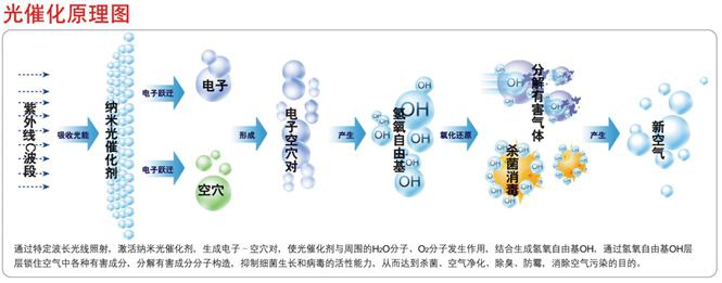 光觸媒、生物酶除甲醛【佛山】