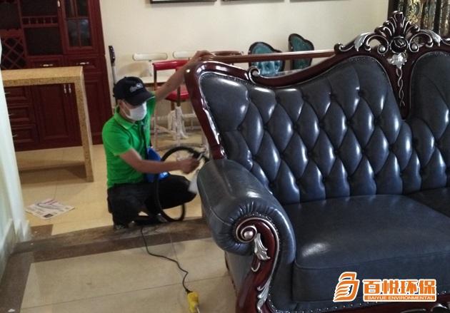 佛山去除甲醛的綠植有哪些?百悅環(huán)保裝修去除甲醛 佛山去除甲醛的綠植有哪些?百悅環(huán)保裝修去除甲醛